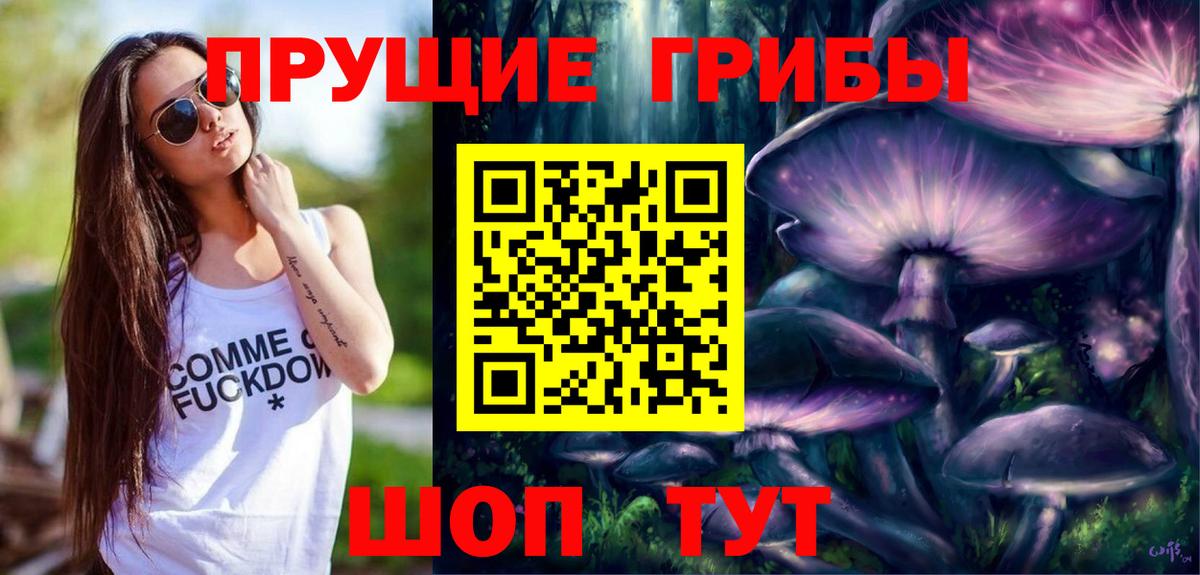 Можайск  Галлюциногенные грибы прущие грибы  Вход с VPN 